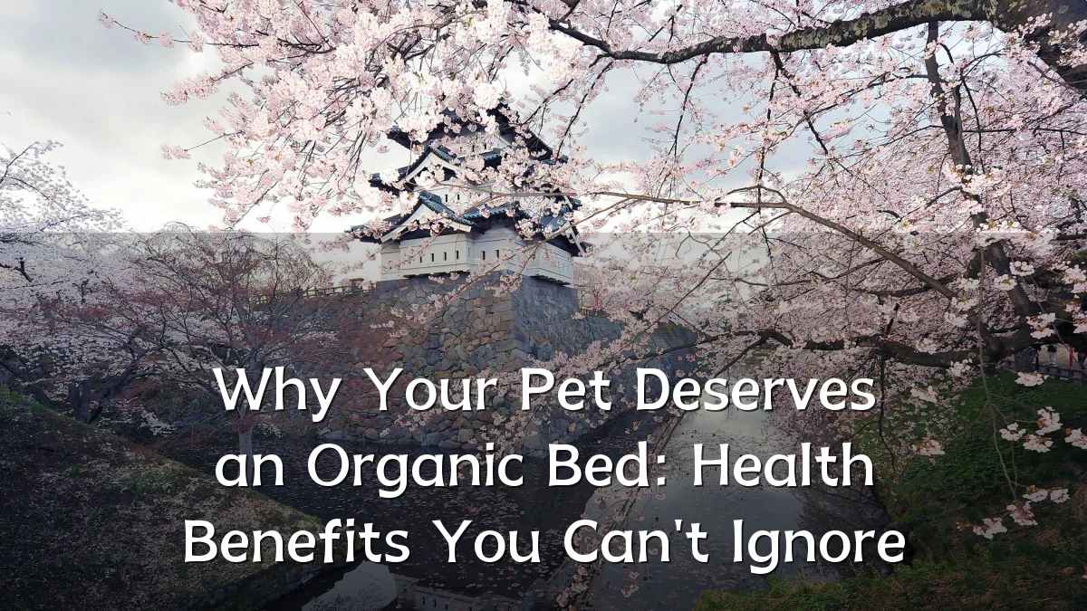 Why Your Pet Deserves an Organic Bed: Health Benefits You Can't Ignore