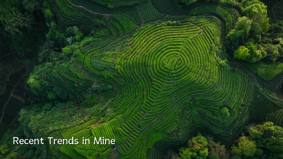 Recent Trends in Mine