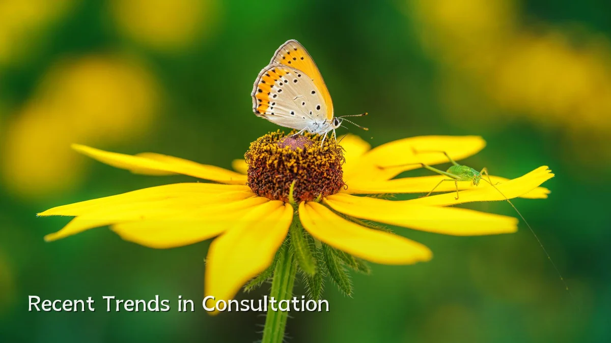 Recent Trends in Consultation