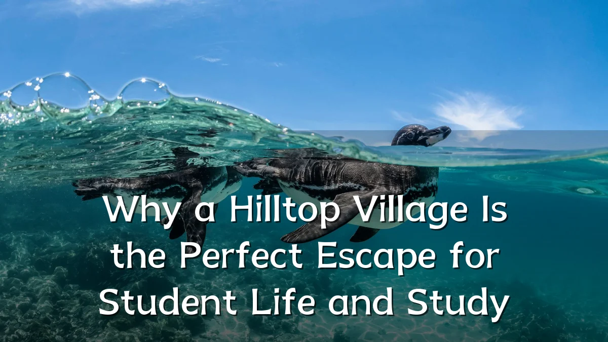 Why a Hilltop Village Is the Perfect Escape for Student Life and Study