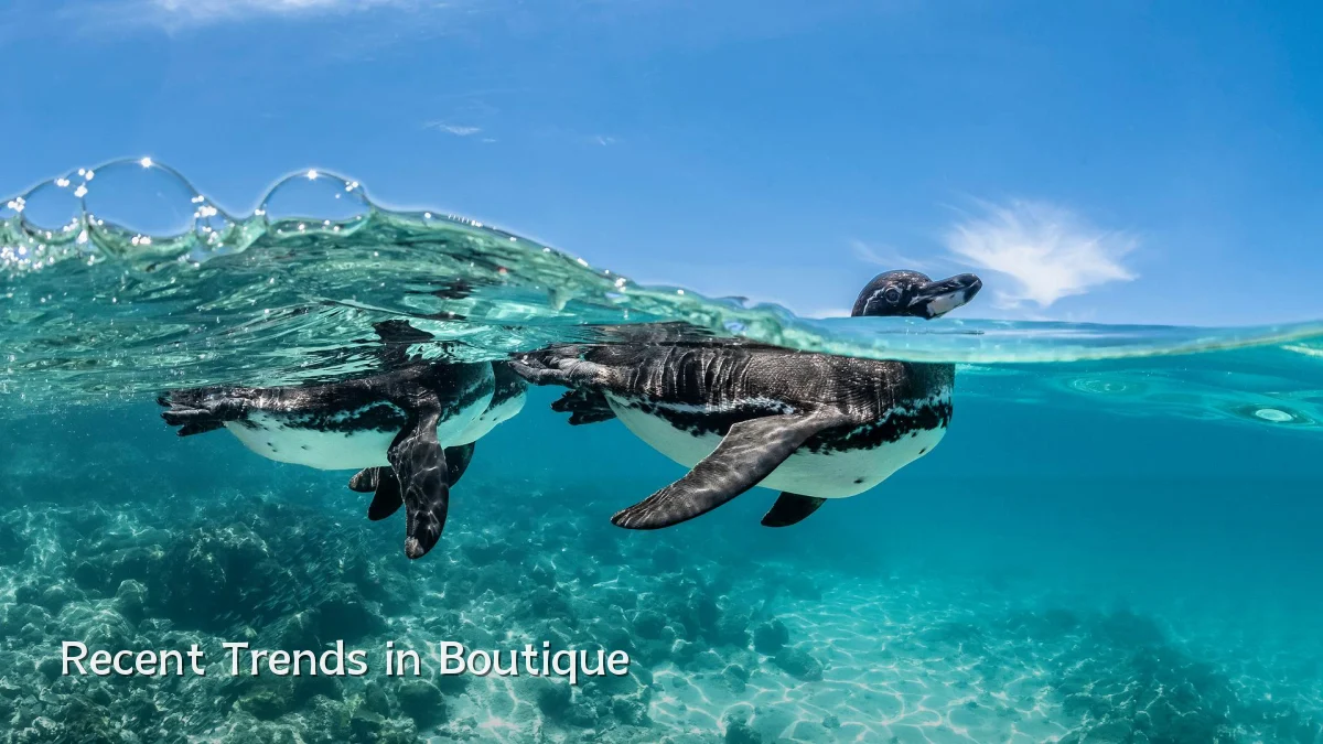 Recent Trends in Boutique