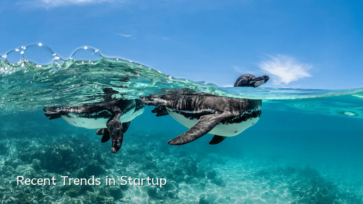 Recent Trends in Startup
