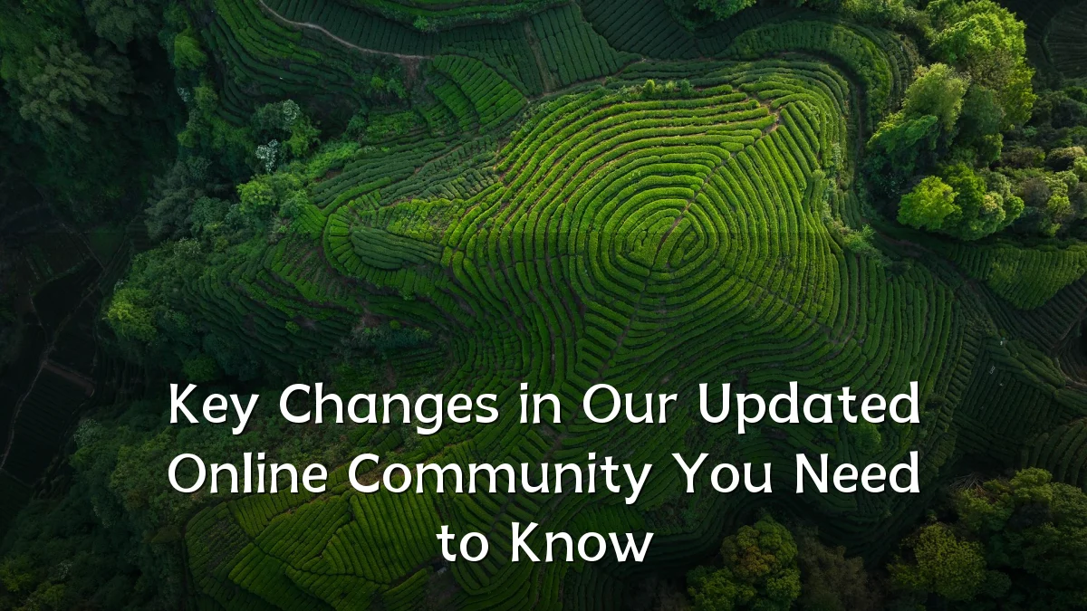 Key Changes in Our Updated Online Community You Need to Know