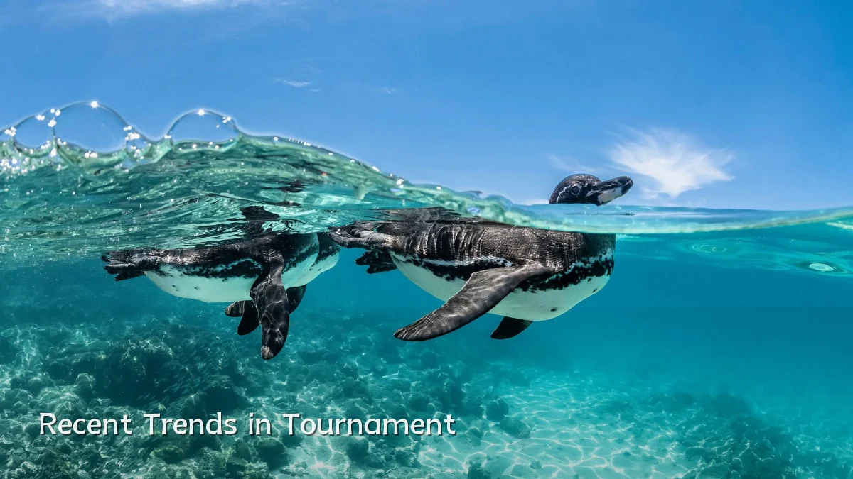 Recent Trends in Tournament